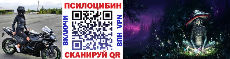 Псилоцибиновые грибы Cubensis  Осташков 